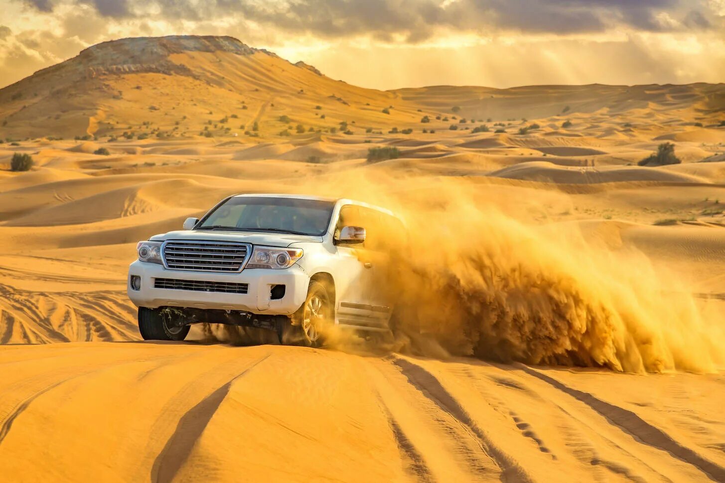 Desert Safari