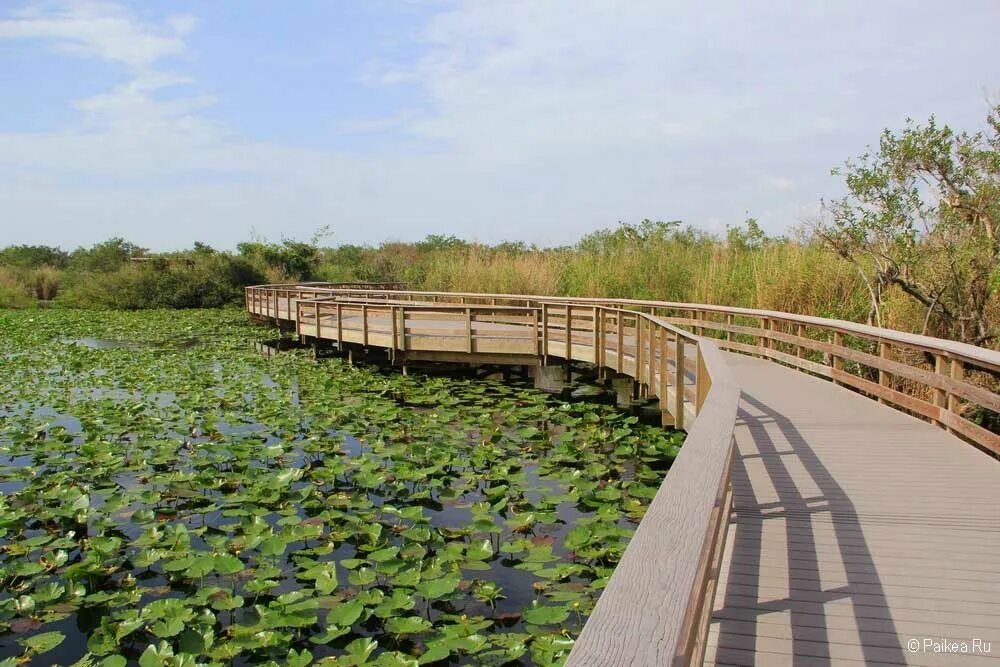 Everglades National Park