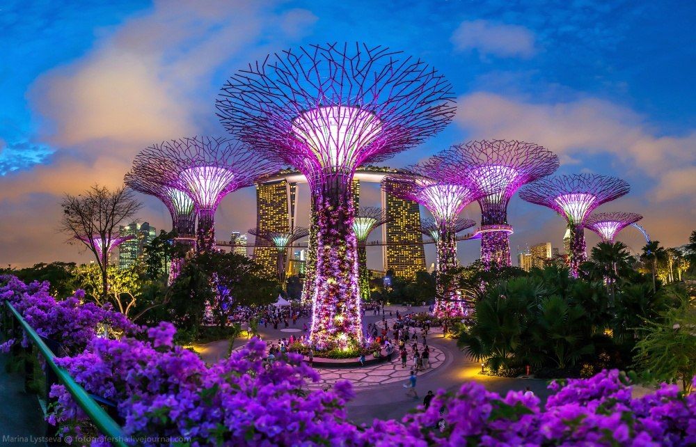 Gardens by the Bay