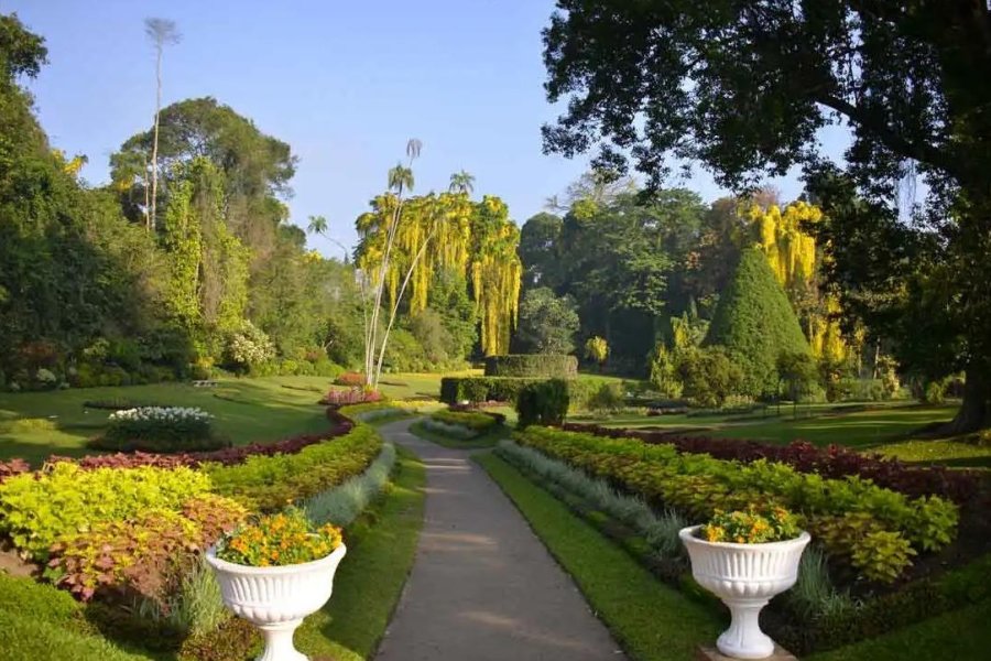 Royal Botanic Gardens