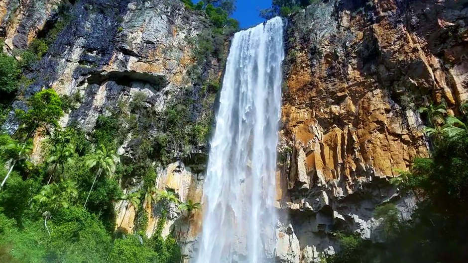 Springbrook National Park